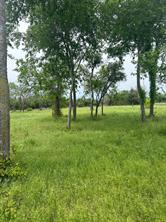 TBD Round Up Court - Photo 3