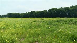 TBD. Hwy  7 - Photo 16