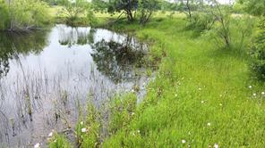 TBD. Hwy  7 - Photo 7