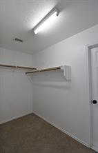 10125 Sourwood Drive - Photo 15