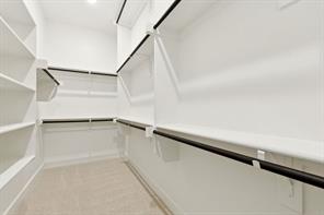 15687 Abelia Bloom Street - Photo 15