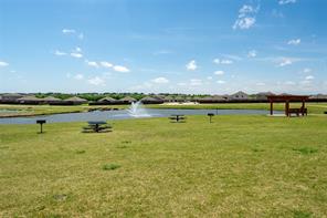 8945 Black Haw Street - Photo 18