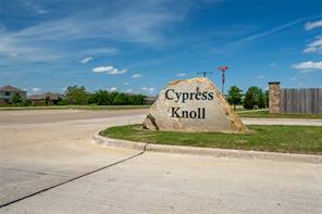 8945 Black Haw Street - Photo 19