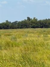 TBD County Road 3020 - Photo 1
