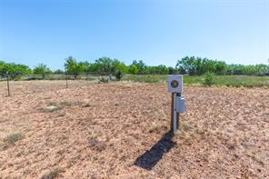 901 Iberis Road S - Photo 33