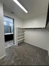 1592 Sugarberry Drive - Photo 13