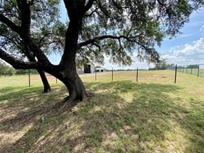 109 N Silver Saddle Circle - Photo 3