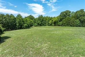Lot 5 State Hwy 19 - Photo 12