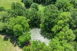 Lot 5 State Hwy 19 - Photo 13