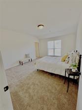1003 Lakeshore Boulevard - Photo 19