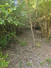215 N Houston School Road - Photo 1