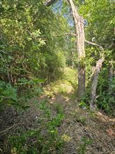 215 N Houston School Road - Photo 3