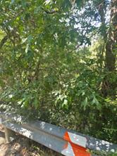 200 N Manus Drive - Photo 1