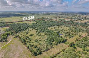 TBD County Road 236 - Photo 1