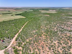 TBD Tract 2 FM 3116 - Photo 2