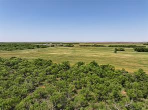 TBD Tract 2 FM 3116 - Photo 3