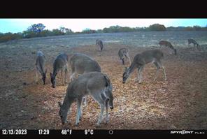 TBD Co Rd 400 - Photo 34