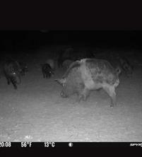 TBD Co Rd 400 - Photo 35