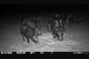 TBD Co Rd 400 - Photo 36