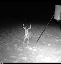 TBD Co Rd 400 - Photo 37