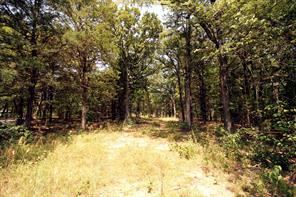 10 County Road 2263 - Photo 3