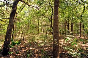 10 County Road 2263 - Photo 4