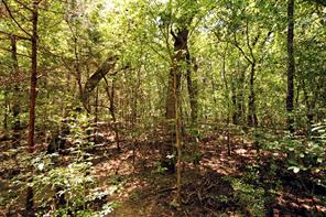 10 County Road 2263 - Photo 5