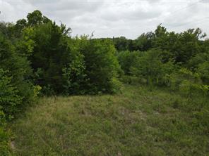 TBD County Road 4245 - Photo 2