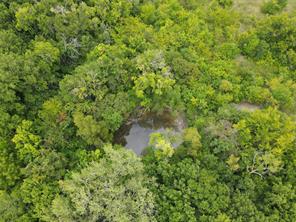 TBD County Road 4245 - Photo 8