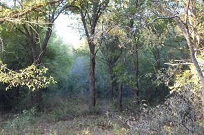 000 Eureka School Road - Photo 1