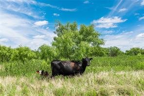 6000 lot 3 Fm 586 S - Photo 17