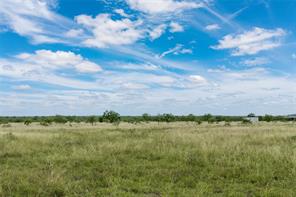 6000 lot 3 Fm 586 S - Photo 3