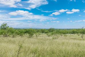 6000 lot 3 Fm 586 S - Photo 5