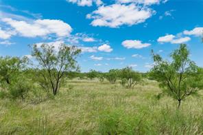 6000 lot 3 Fm 586 S - Photo 6