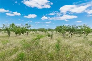 6000 lot 3 Fm 586 S - Photo 7