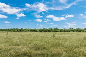 6000 lot 3 Fm 586 S - Photo 9
