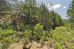2125 Canyon Wren Loop - Photo 34