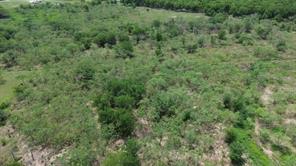 5019 SW PR 2404 - Photo 6