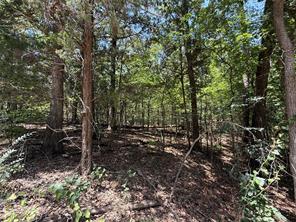 TBD Whispering Pine Trail - Photo 2