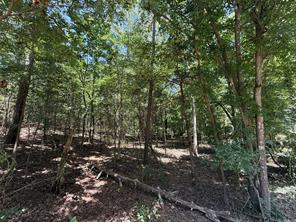 TBD Whispering Pine Trail - Photo 3