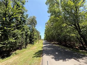 TBD Whispering Pine Trail - Photo 4