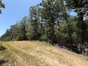 TBD Whispering Pine Trail - Photo 1