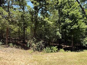 TBD Whispering Pine Trail - Photo 2
