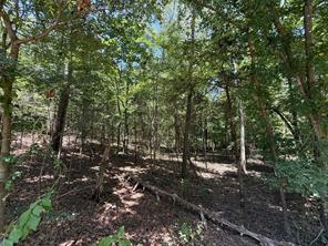 TBD Whispering Pine Trail - Photo 3