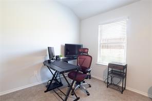 9501 Mountain Mint Drive - Photo 10
