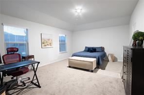 9501 Mountain Mint Drive - Photo 11