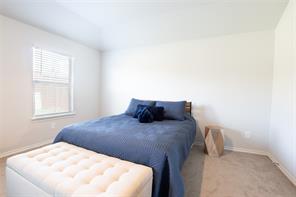 9501 Mountain Mint Drive - Photo 12