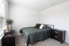 9501 Mountain Mint Drive - Photo 3