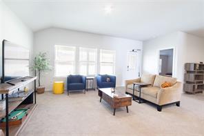 9501 Mountain Mint Drive - Photo 8
