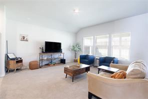 9501 Mountain Mint Drive - Photo 9